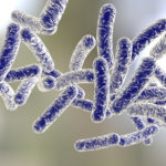 Image Of Bacteria