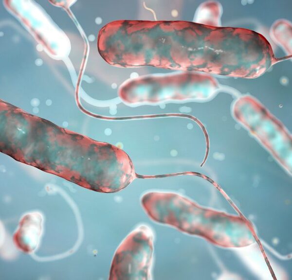 1460999963-legionella-1024x576